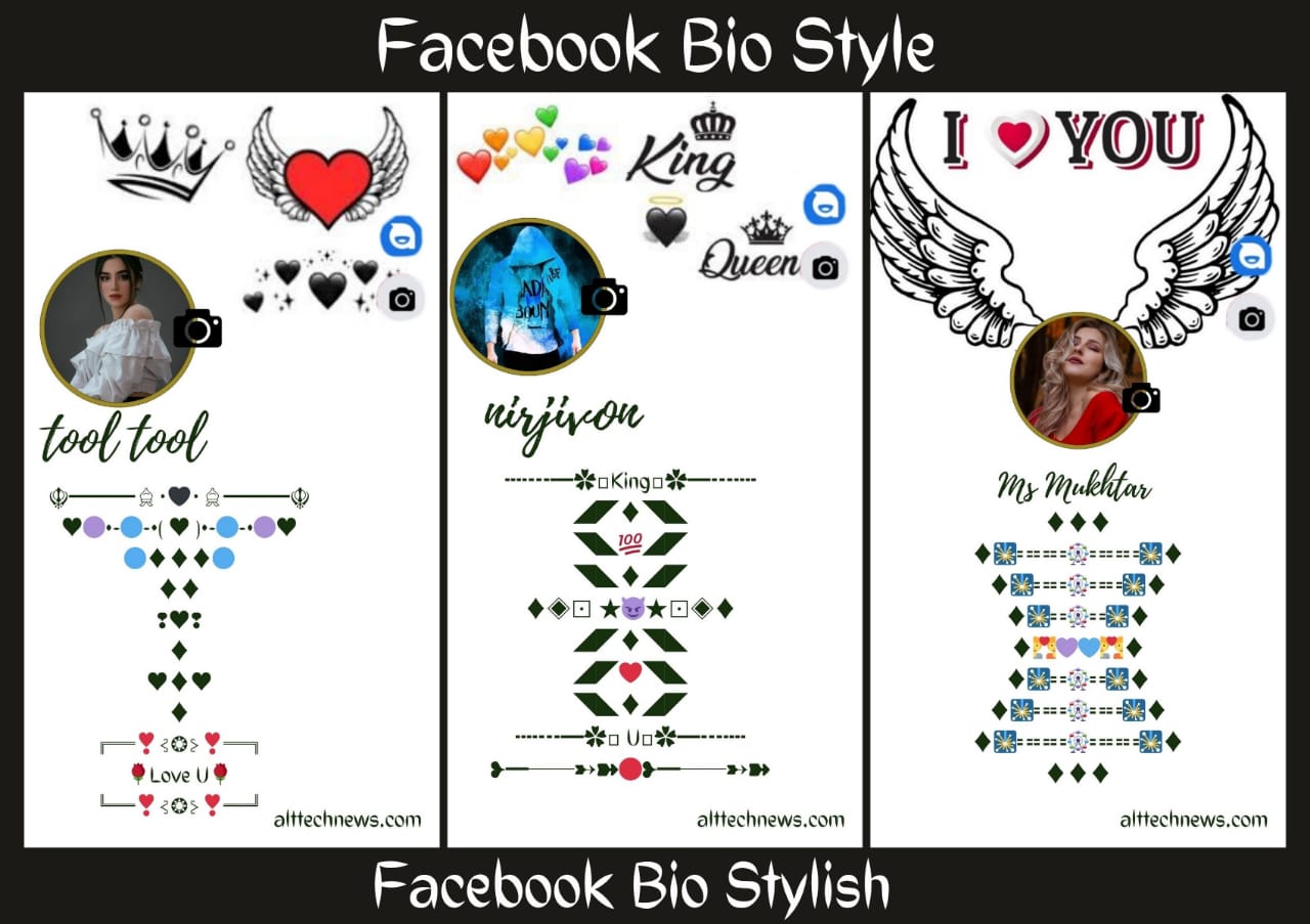Facebook Bio Style